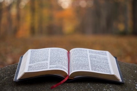 Słowo Boże, zestaw 1 MAŁE